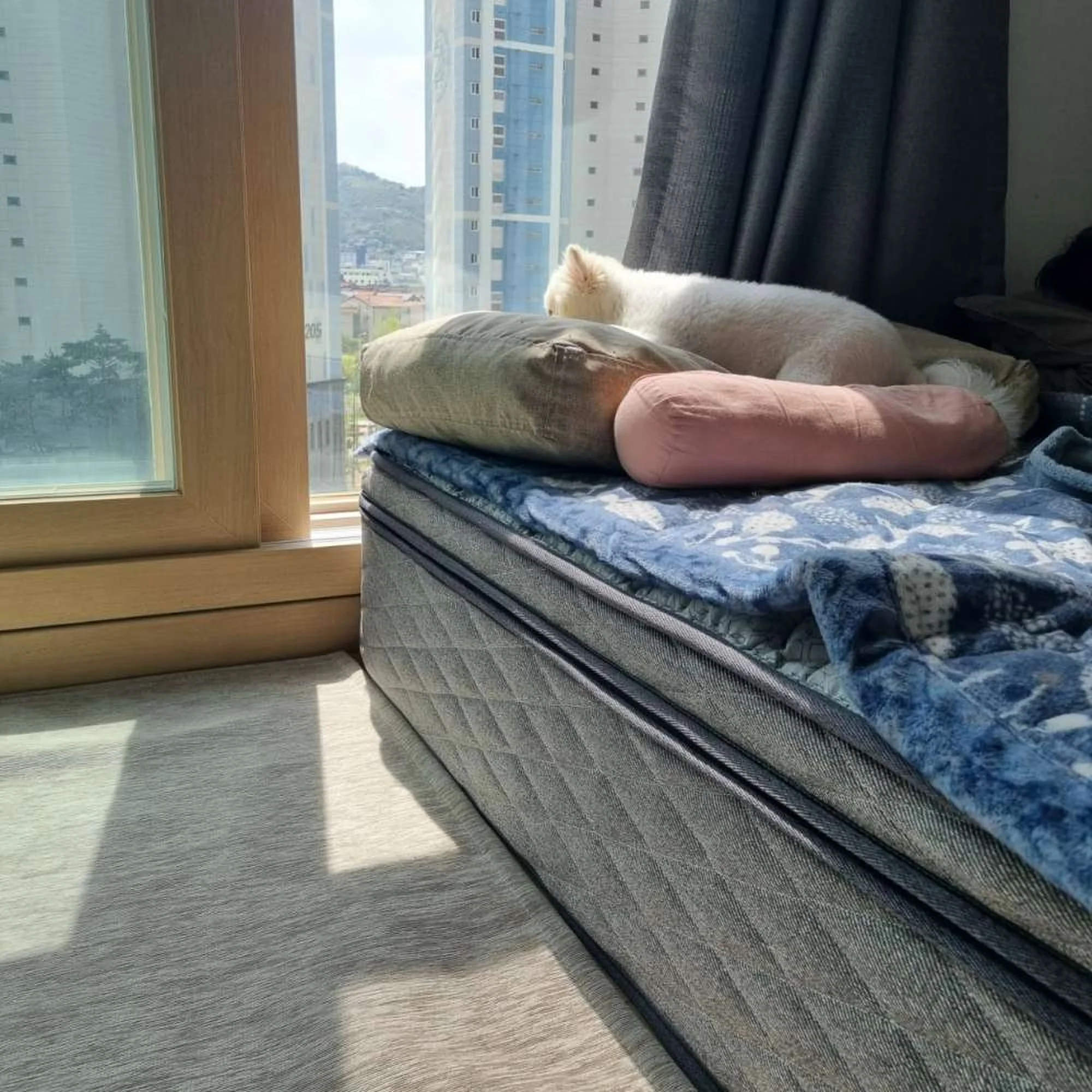 코웨이매트리스렌탈 대표 매트리스 사진